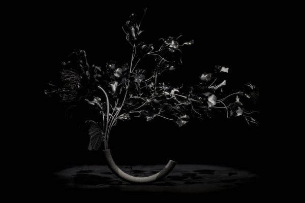 Composition of black poppies from Boucheron Composition of black poppies from Boucheron