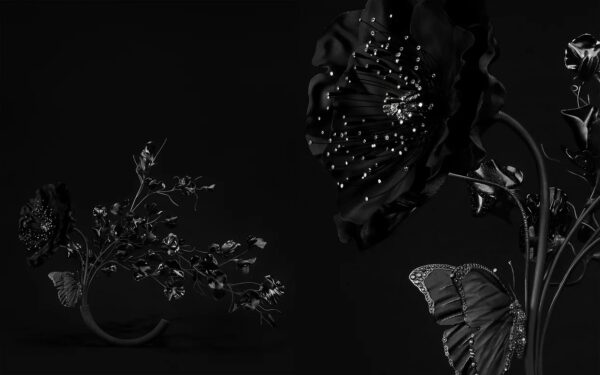 black poppies and sweet peas blooming against a jet black background. black poppies and sweet peas blooming against a jet black background.